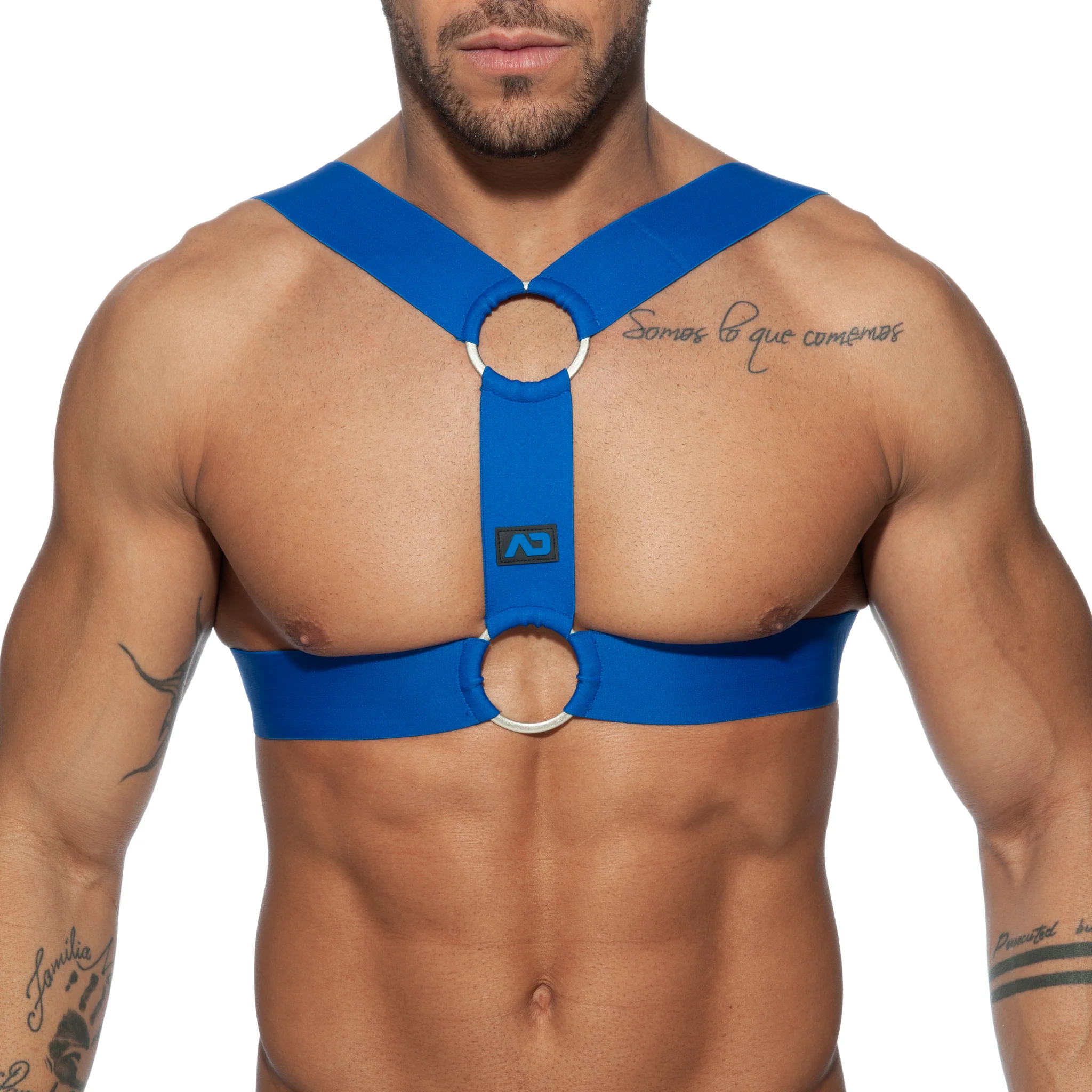 AD Fetish Double Ring Harness Royal Blue ADF116 - Image 2