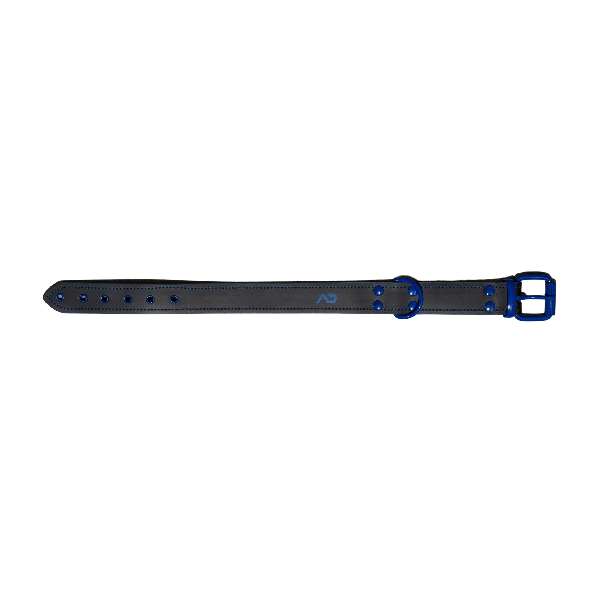 AD Fetish Leather Collar Royal Blue ADF44 - Image 4