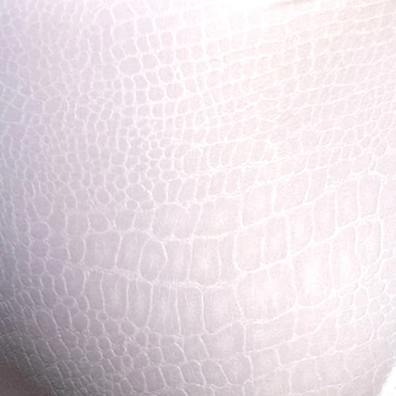 Addicted Reptile Bikini Brief White ADP09 - Image 4