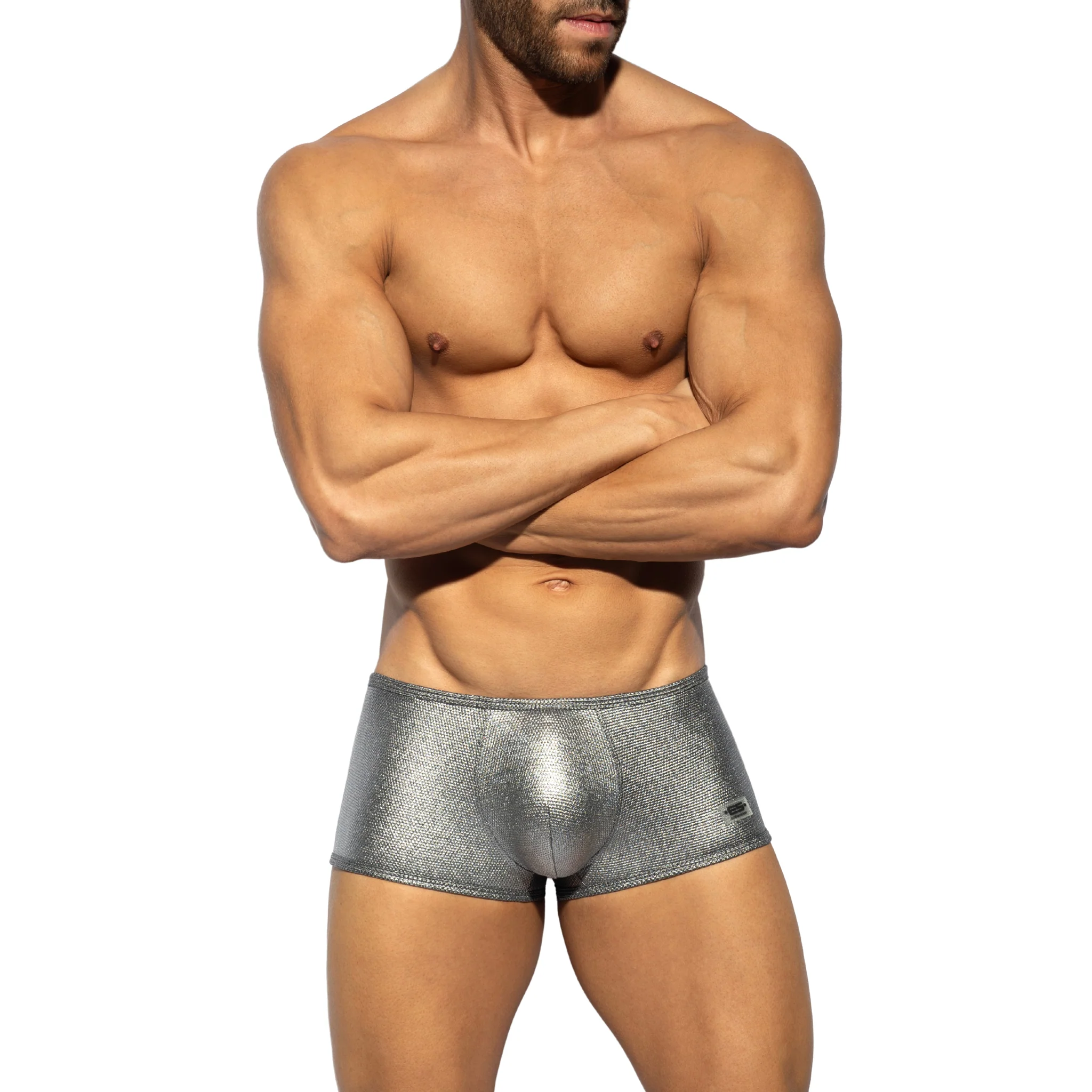 ES Collection Imperial Trunk Silver UN630 - Image 2