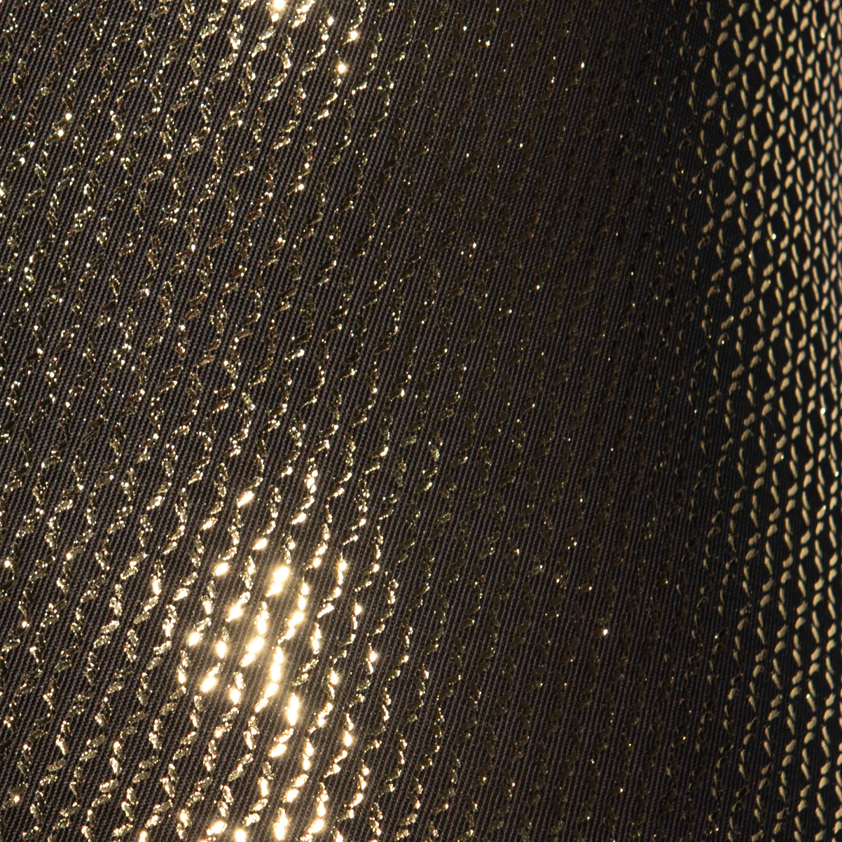 ES Collection Radiant Gold Trunk Black UN635 - Image 4